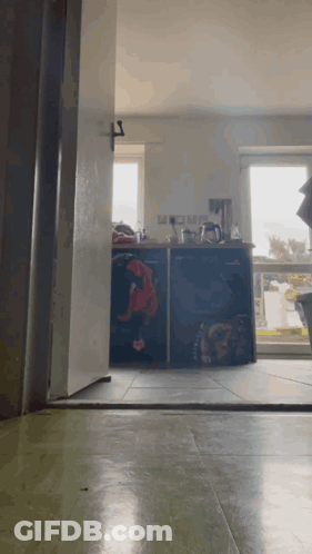 A Door Is Open To A Kitchen With A Few Appliances GIF