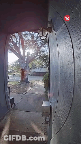 A Doorway With A Welcome Mat On The Floor And A Bird On The Wall GIF