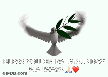 A Dove Is Flying With A Branch In Its Beak And The Words `` Bless You On Palm Sunday And Always '' . GIF