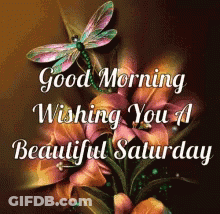 A Dragonfly Is Sitting On A Flower With The Words Good Morning Wishing You A Beautiful Saturday GIF