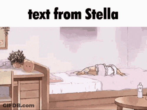 A Drawing Of A Bedroom With The Text " Text From Stella " GIF