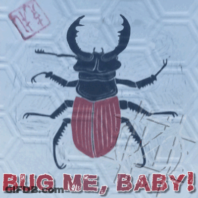 A Drawing Of A Beetle With The Words Bug Me Baby Written Below It GIF