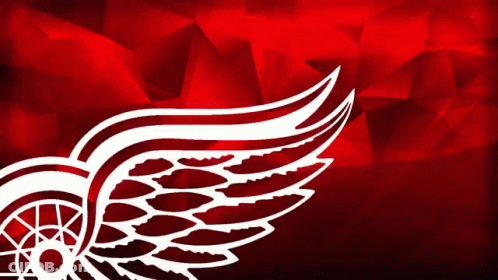 A Drawing Of A Bird 'S Wings Against A Red Background GIF