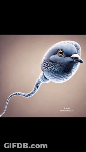Drawing Of Bird With Long Neck And Beak GIF