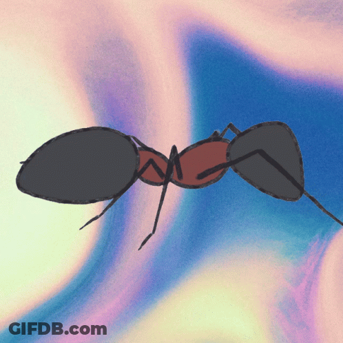 A Drawing Of A Black And Red Ant On A Blue Background GIF