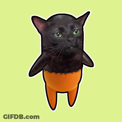 A Drawing Of A Black Cat With Orange Legs And Arms GIF
