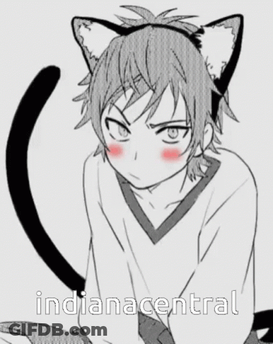 A Drawing Of A Boy With Cat Ears And The Words Indiana Central GIF