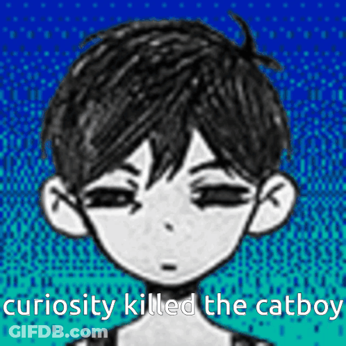 A Drawing Of A Boy With The Words Curiosity Killed The Catboy On The Bottom GIF