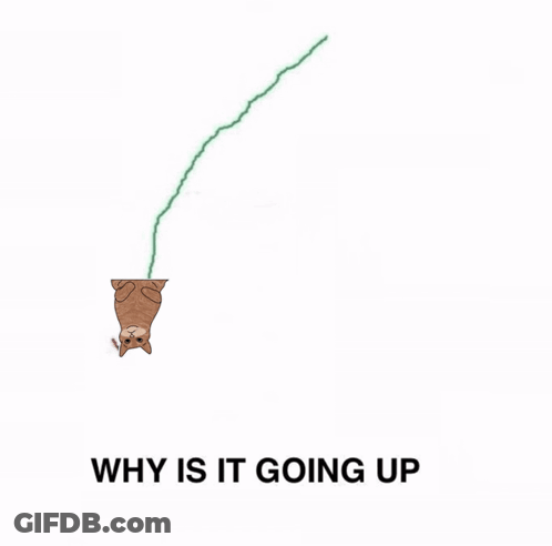 A Drawing Of A Cat Hanging Upside Down With The Words Why Is It Going Up Underneath It GIF