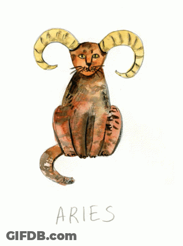 A Drawing Of A Cat Holding A Blue Jar With The Word Aquarius Written Below It GIF