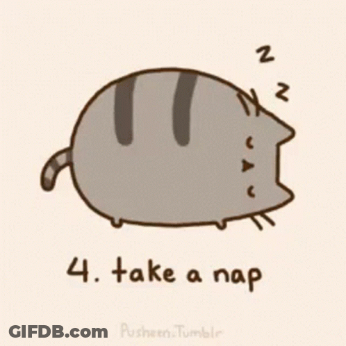 A Drawing Of A Cat Sleeping With The Words Take A Nap Below It GIF