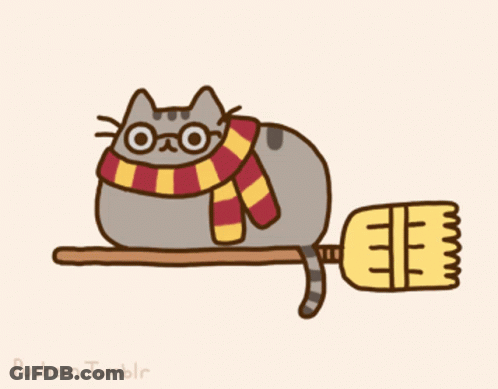A Drawing Of A Cat Wearing Glasses And A Scarf Laying On A Broom GIF