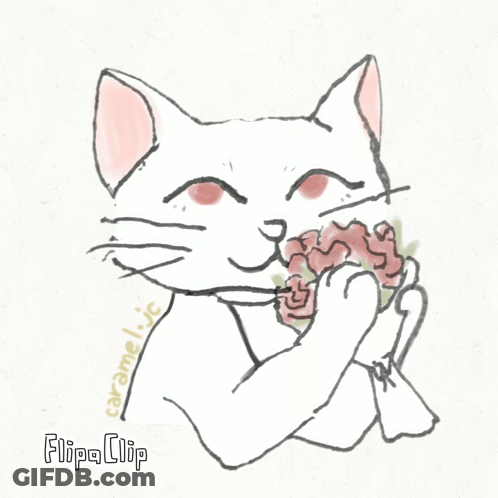 A Drawing Of A Cat With Flipa Clip Written On The Bottom Right GIF
