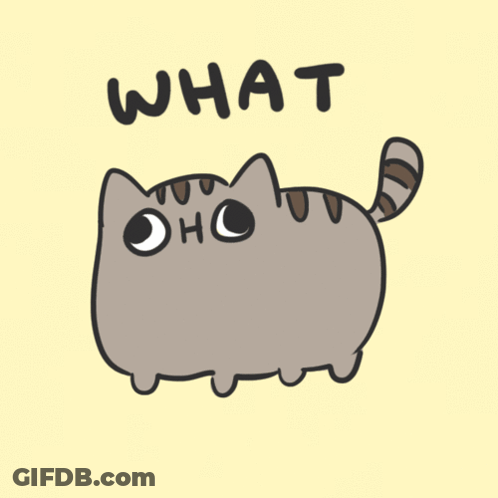 A Drawing Of A Cat With The Word What Written On It GIF