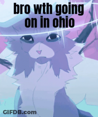 A Drawing Of A Cat With The Words Bro With Going On In Ohio GIF