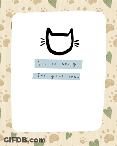 A Drawing Of A Cat With The Words I 'M So Sorry For Your Loss Below It GIF