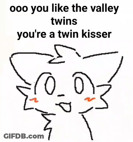 A Drawing Of A Cat With The Words " Ooo You Like The Valley Twins You 'Re A Twin Kisser " Below It GIF