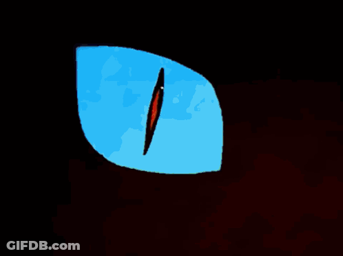A Drawing Of A Cat With Wings And A Black Cat GIF