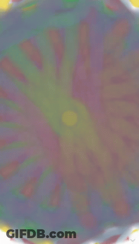 A Drawing Of A Circle With Lines Around It GIF