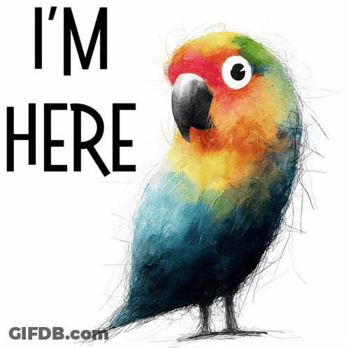 A Drawing Of A Colorful Parrot With The Words " I 'M Here " Below It GIF