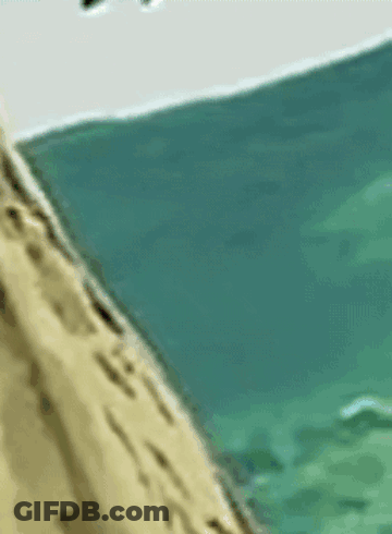 A Drawing Of A Crab Laying On A Beach GIF