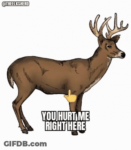 A Drawing Of A Deer With The Words " You Hurt Me Right Here " On It GIF