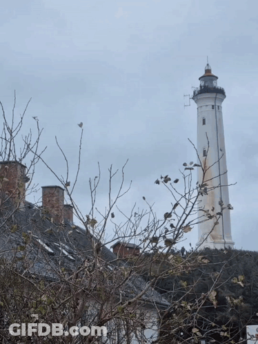 A Drawing Of A Duck With Big Eyes Stands In Front Of A Lighthouse GIF