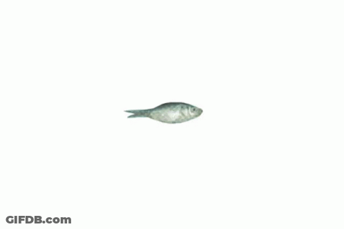 A Drawing Of A Fish With Wings That Look Like An Airplane GIF