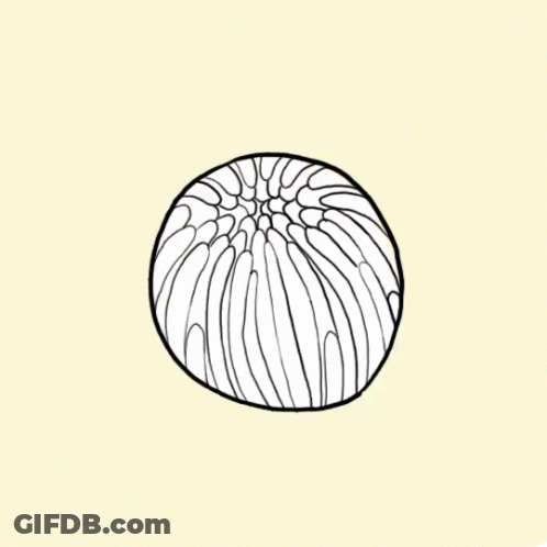A Drawing Of A Flower With A Face In The Center . GIF