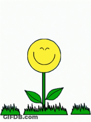 A Drawing Of A Flower With A Smiley Face GIF