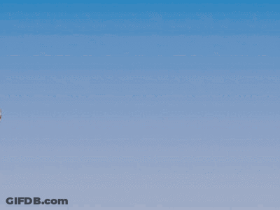 A Drawing Of A Girl With Wings Hanging From A Frame GIF