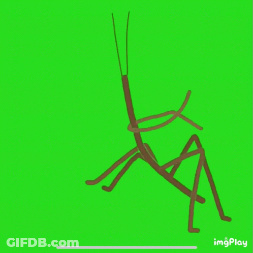 A Drawing Of A Grasshopper On A Green Screen With Imgplay At The Bottom GIF
