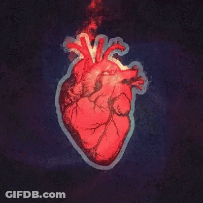 A Drawing Of A Human Heart On A Dark Background GIF