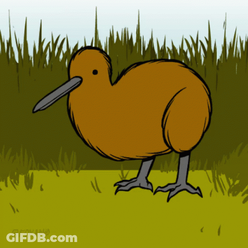 A Drawing Of A Kiwi Bird With A Long Beak GIF