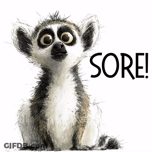 A Drawing Of A Lemur With The Words Sore Written Below It GIF
