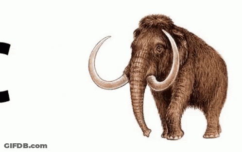 A Drawing Of A Mammoth With The Letter C Next To It GIF