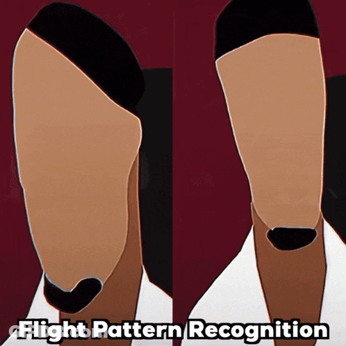 A Drawing Of A Man 'S Face And The Words Flight Pattern Recognition Below It GIF