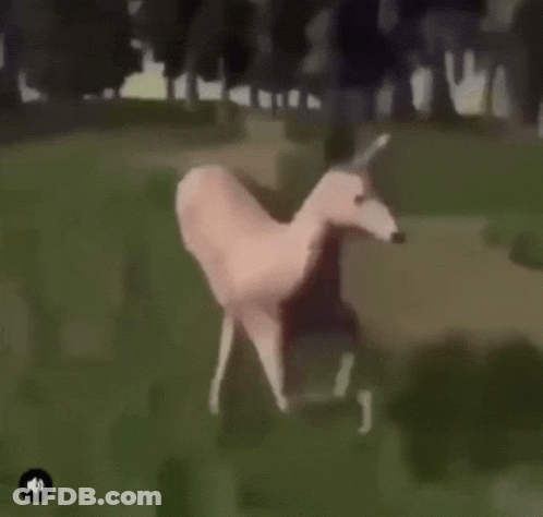 A Drawing Of A Person Riding A Horse In A Field With Trees In The Background GIF