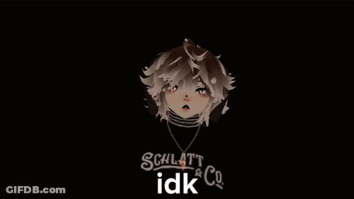A Drawing Of A Person With The Words Schlaft & Co. Idk Written On It GIF