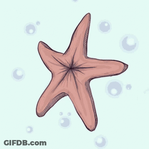 A Drawing Of A Pink Starfish On A White Background GIF