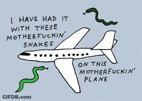 A Drawing Of A Plane With The Words " I Have Had It With These Mother Fuckin ' Snakes " GIF