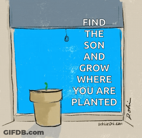 A Drawing Of A Plant In A Pot With The Words Find The Son And Grow Where You Are Planted GIF
