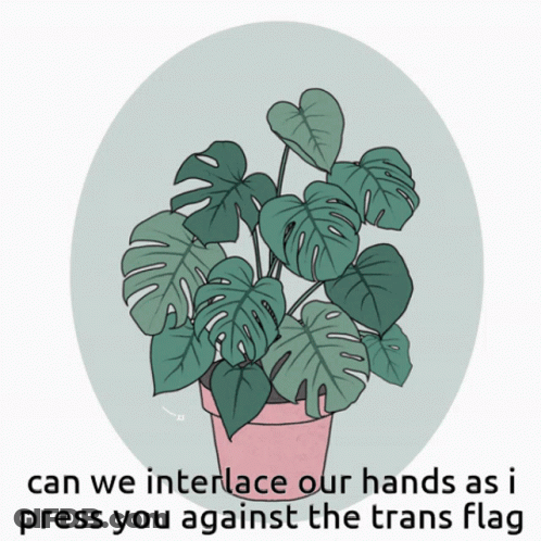 A Drawing Of A Plant With The Words Can We Interface Our Hands As I Press You Against The Trans Flag GIF