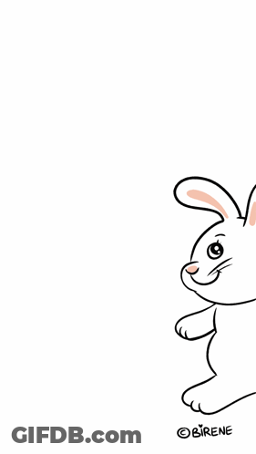 A Drawing Of A Rabbit With The Name Birene Written Below It GIF