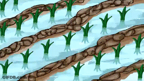 A Drawing Of A River With Plants Growing Out Of The Water GIF