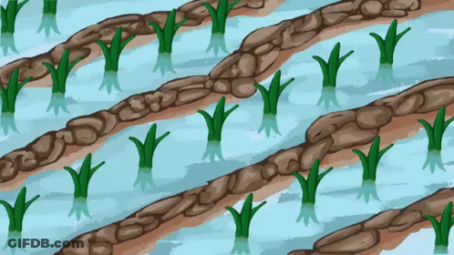 A Drawing Of A River With Plants Growing Out Of The Water GIF