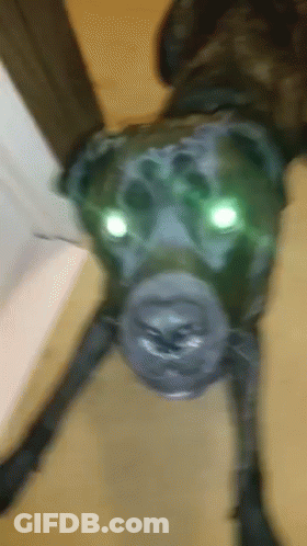 A Drawing Of A Spider With Glowing Eyes GIF