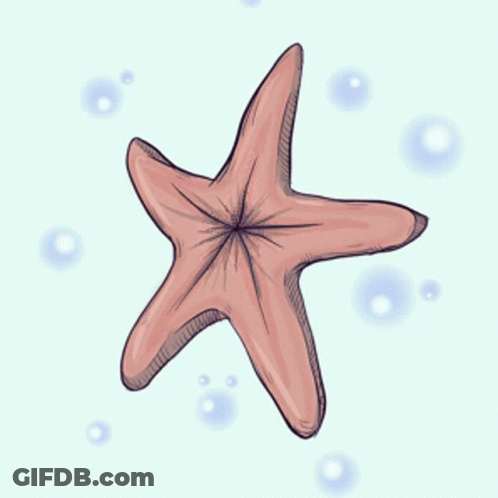 A Drawing Of A Starfish With A Pointed Center GIF