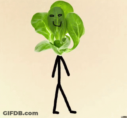 A Drawing Of A Stick Figure With A Green Leaf With A Face On It GIF