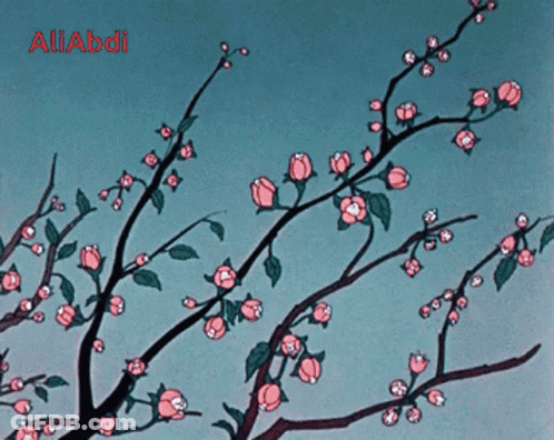 A Drawing Of A Tree With Pink Flowers And The Name Aliabdi In Red GIF
